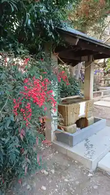 星宮神社の手水舎