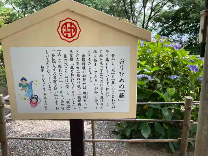 足利織姫神社(栃木県)