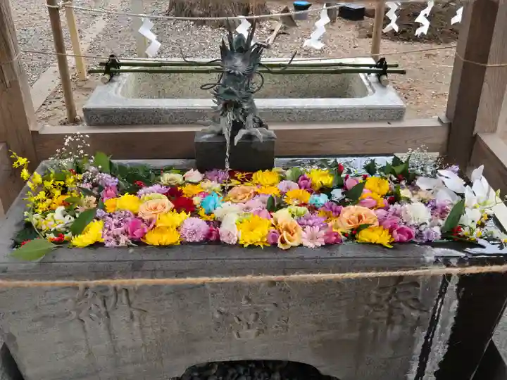 玉前神社(千葉県)