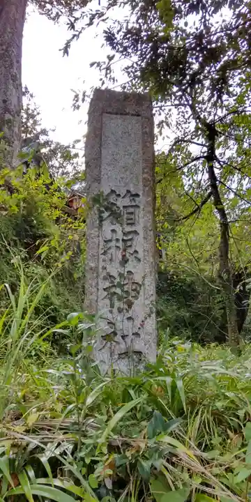 箱根神社(神奈川県)