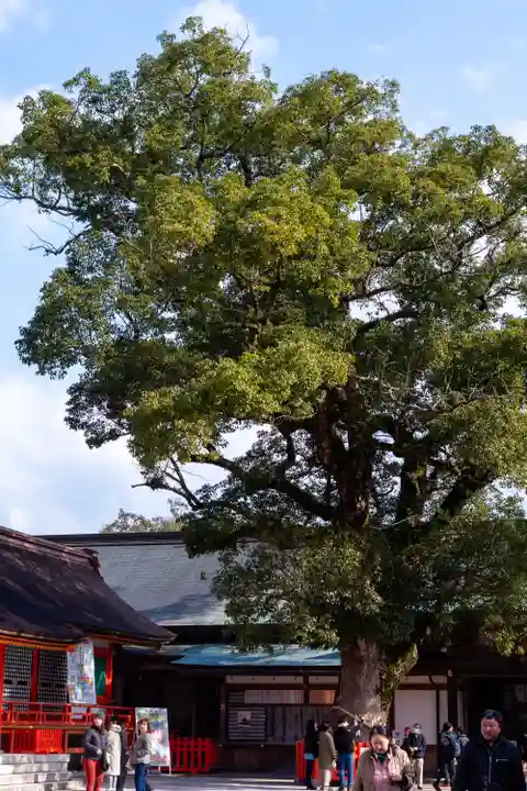 宇佐神宮(大分県)