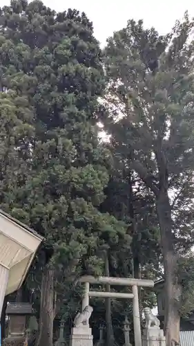 神明社（竹内天神堂古墳）のお墓