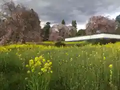 慈雲寺の自然