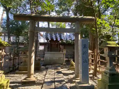 大國魂神社の鳥居