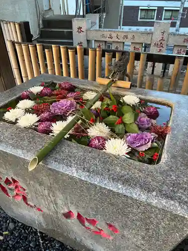 高円寺氷川神社(東京都)