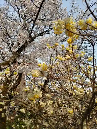 法華寺の庭園