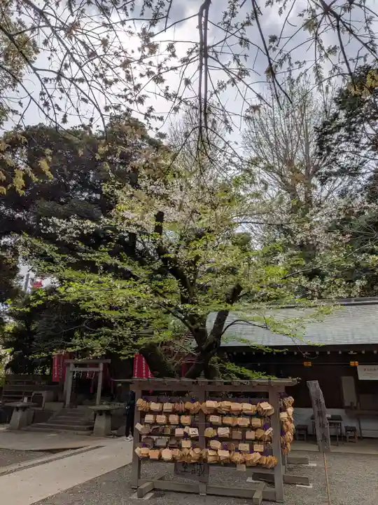 乃木神社(東京都)