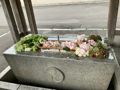 亀田八幡宮(北海道)