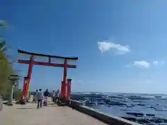 青島神社（青島神宮）の鳥居