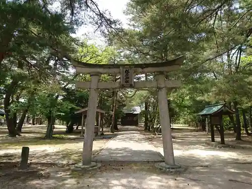 松原神社の鳥居