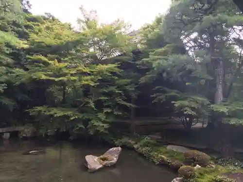 蓮華寺（洛北蓮華寺）の庭園
