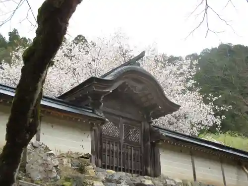 常照皇寺の本殿・本堂