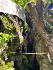 來宮神社の自然