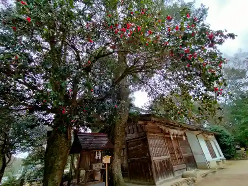 玉作湯神社(島根県)