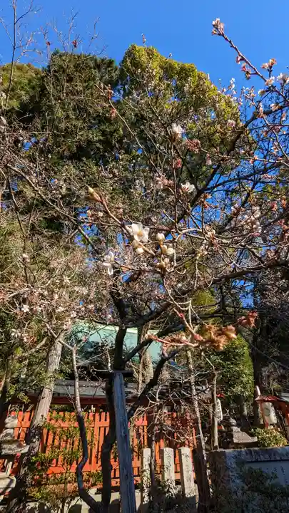 赤山禅院(京都府)