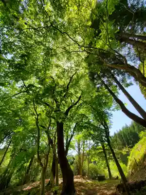 堂山王子神社(福島県)