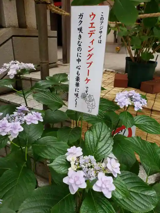 十番稲荷神社のその他建物