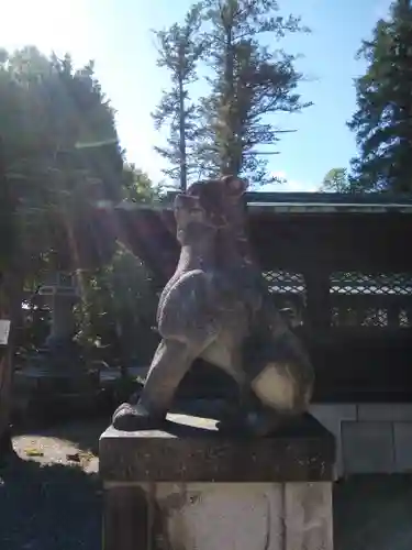 上杉神社の狛犬