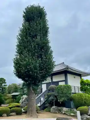 光了寺(茨城県)