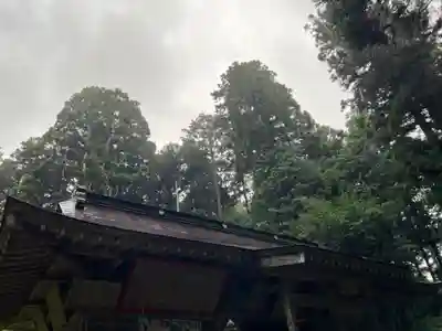 大宮温泉神社(栃木県)