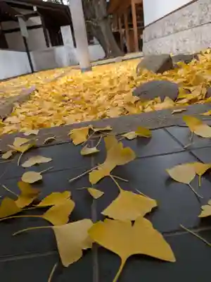 乃木神社(東京都)
