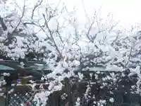 湯島天満宮の庭園