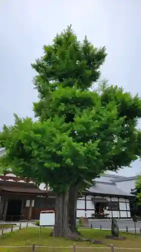 永保寺(岐阜県)