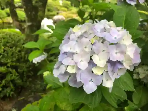 三室戸寺の庭園