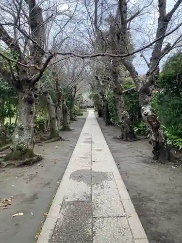 極楽寺（霊鷲山感應院極楽律寺）の景色