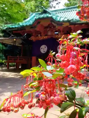 赤坂氷川神社(東京都)
