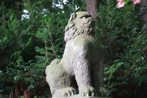 豊景神社の狛犬