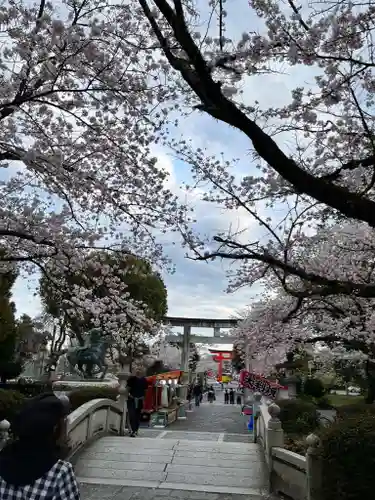 富士山本宮浅間大社の鳥居