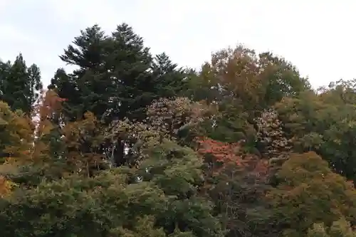 久昌寺(埼玉県)