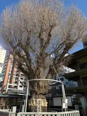 櫛田神社の{uncategorized: "未分類", other: "その他", undefined: "問題あり", building: "その他建物", grave: "お墓", sacred_gate: "鳥居", guardian: "狛犬", statue: "像", buddha: "仏像", history: "歴史", nature: "自然", garden: "庭園", animal: "動物", pagoda: "塔", temizu: "手水舎", mountain_gate: "山門・神門", sanctuary: "本殿・本堂", subordinate: "末社・摂社", art: "芸術", scenery: "景色", jizo: "地蔵", ema: "絵馬", goshuin: "御朱印", omikuji: "おみくじ", items: "授与品その他", amulet: "お守り", goshuincho: "御朱印帳", eats: "食事", festival: "お祭り", votive_dance: "神楽", shichigosan: "七五三参", wedding: "結婚式", experience: "体験その他", initially: "初詣", around: "周辺", anti_infection: "感染症対策"}