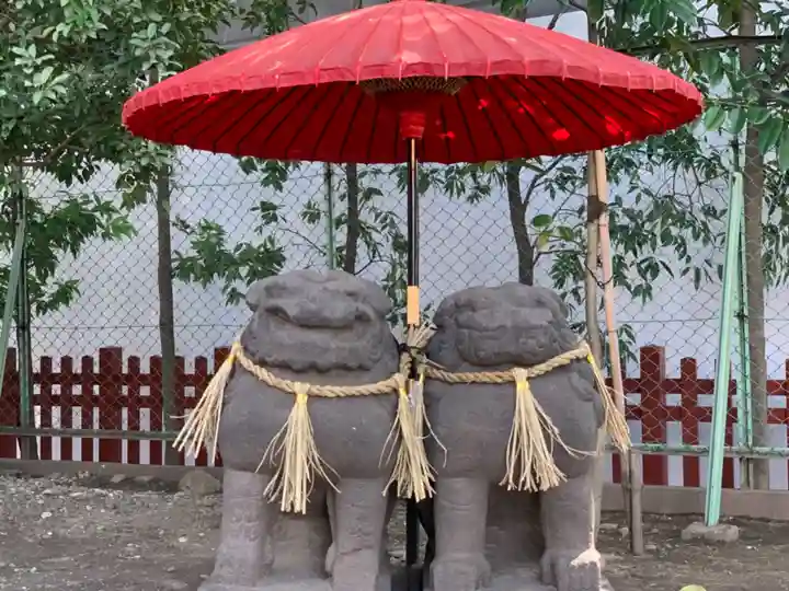 浅草神社の狛犬