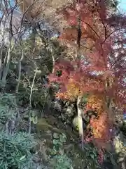 長谷寺の自然