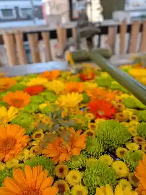 高円寺氷川神社(東京都)