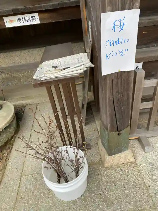 安仁神社の{uncategorized: "未分類", other: "その他", undefined: "問題あり", building: "その他建物", grave: "お墓", sacred_gate: "鳥居", guardian: "狛犬", statue: "像", buddha: "仏像", history: "歴史", nature: "自然", garden: "庭園", animal: "動物", pagoda: "塔", temizu: "手水舎", mountain_gate: "山門・神門", sanctuary: "本殿・本堂", subordinate: "末社・摂社", art: "芸術", scenery: "景色", jizo: "地蔵", ema: "絵馬", goshuin: "御朱印", omikuji: "おみくじ", items: "授与品その他", amulet: "お守り", goshuincho: "御朱印帳", eats: "食事", festival: "お祭り", votive_dance: "神楽", shichigosan: "七五三参", wedding: "結婚式", experience: "体験その他", initially: "初詣", around: "周辺", anti_infection: "感染症対策"}