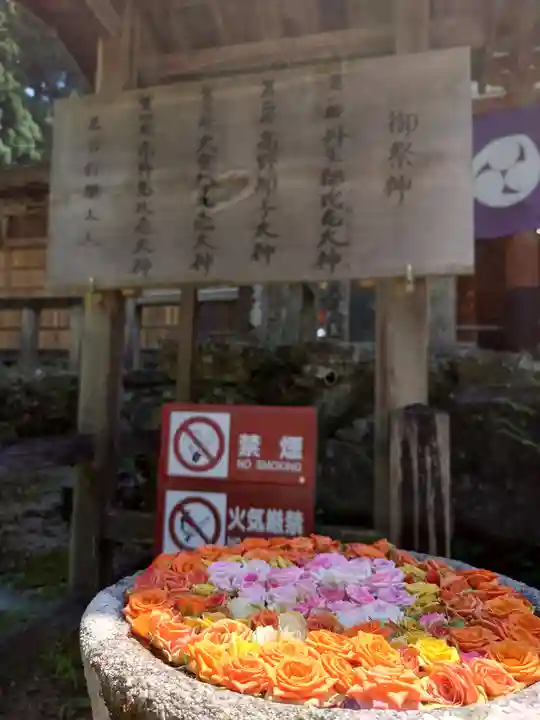 丹生都比売神社(和歌山県)