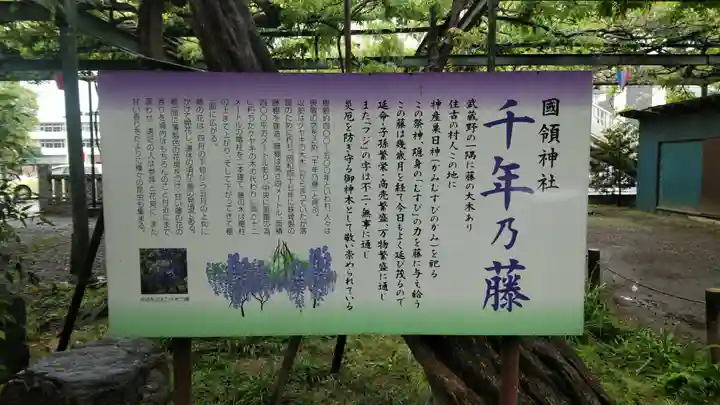 國領神社の歴史