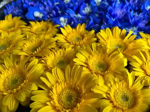 瑞玄寺の手水舎