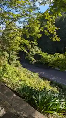 善峯寺(京都府)