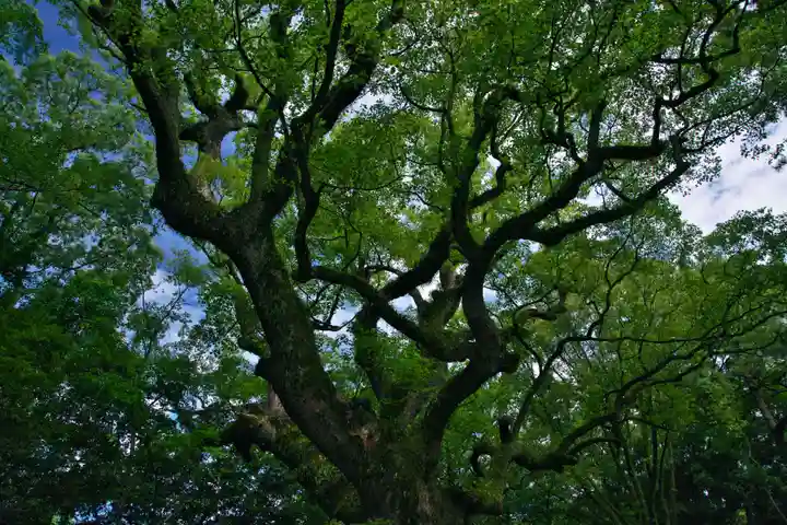 熱田神宮の自然