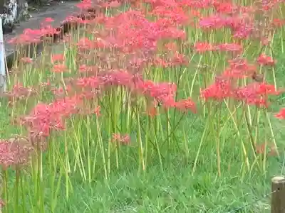 横浜　西方寺(神奈川県)