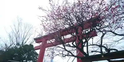 亀戸天神社のその他建物