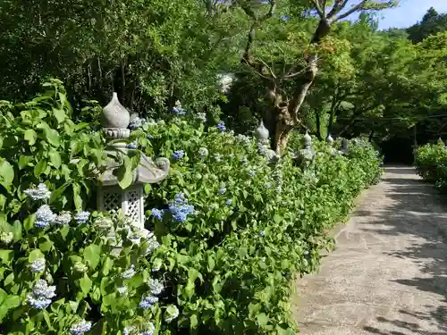 観音寺のその他建物