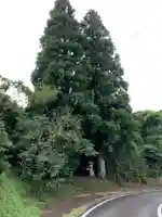 秋葉神社の周辺