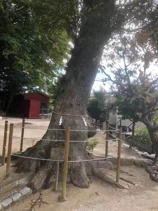 衣掛天満宮の自然