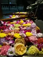 熊野神社の手水舎