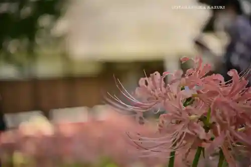 横浜　西方寺(神奈川県)